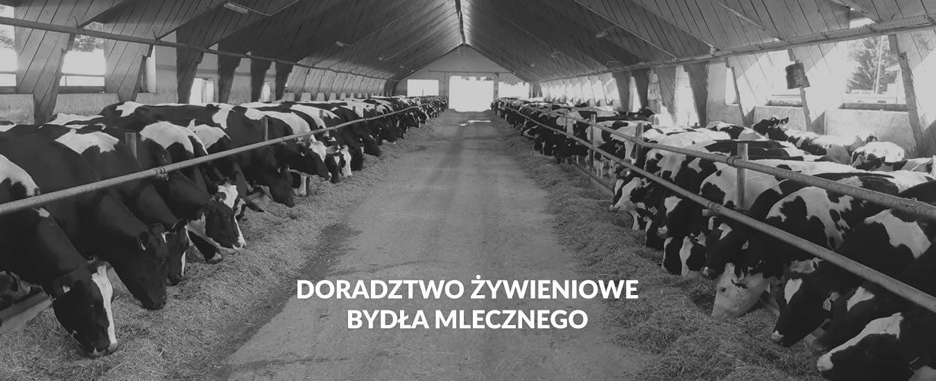 01-doradztwo_zywieniowe_bydla_mlecznego_bw